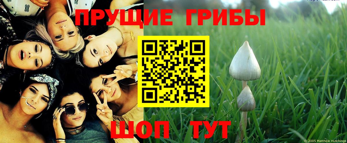 Галлюциногенные грибы Magic Shrooms Алексеевка