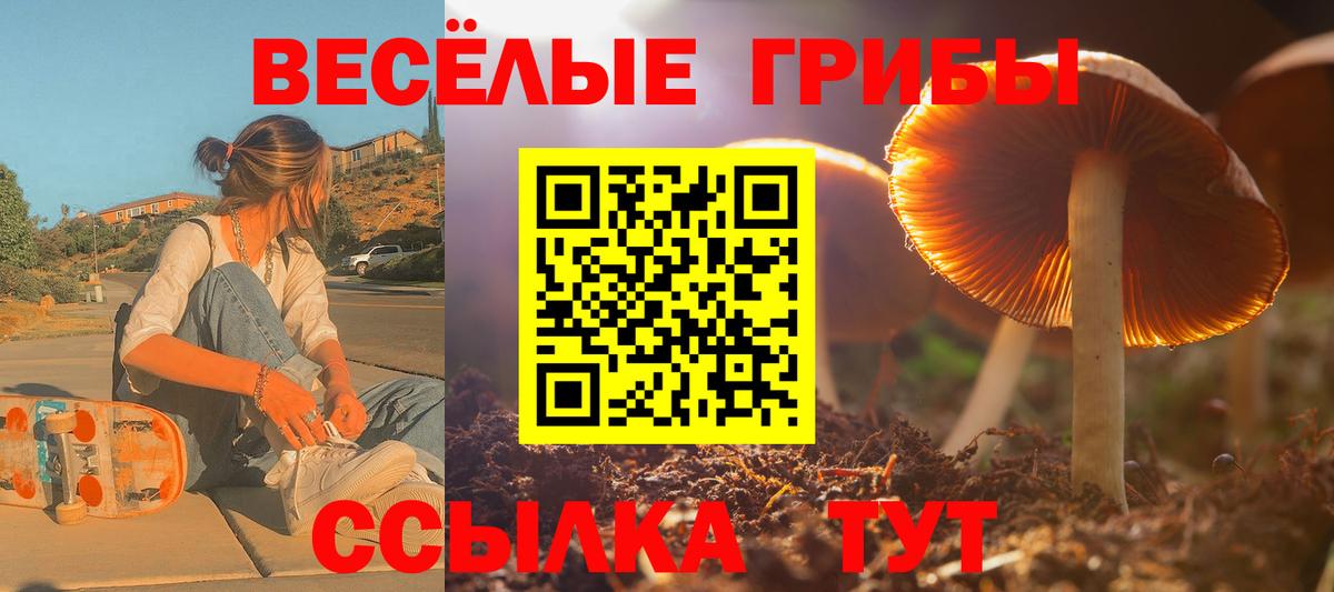 Галлюциногенные грибы Psilocybe  Вход с VPN  Алексеевка 